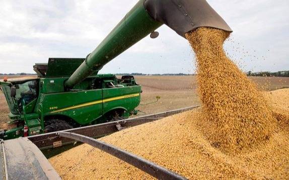 Se demora la publicación en el Boletín Oficial de la baja de retenciones