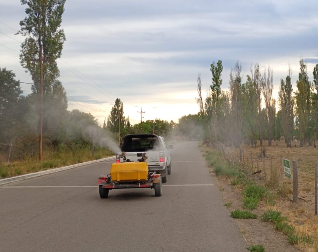 Rawson avanza con un amplio operativo de fumigación en barrios y Playa Unión para controlar insectos y garrapatas