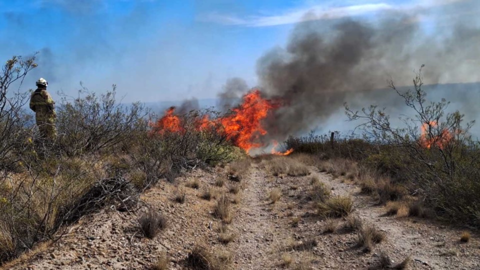 Otero: «Se quemaron más de 20 mil hectáreas» en incendios de Trelew