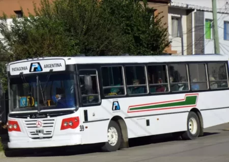 ¿Cómo funcionarán los servicios y cuáles serán los horarios de atención en Comodoro durante el feriado del 8 de diciembre?