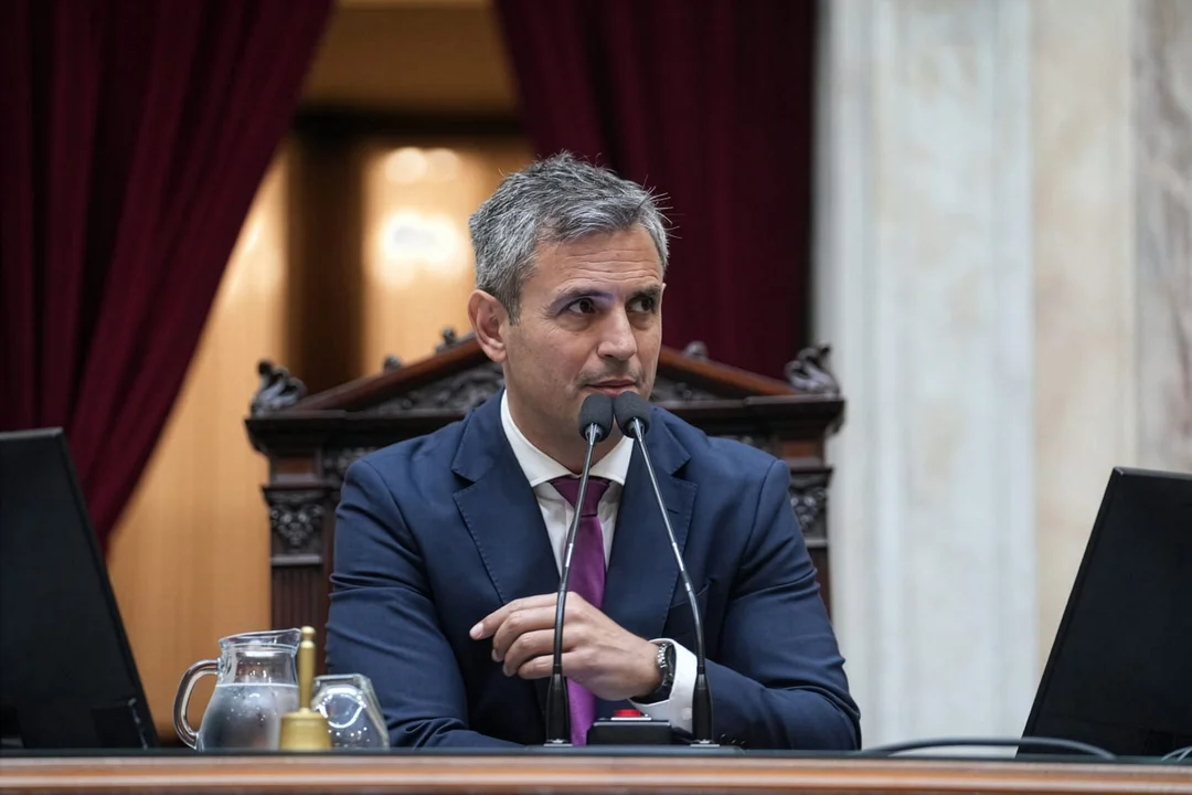 ¿Por qué Martín Menem no preside la sesión de Diputados?