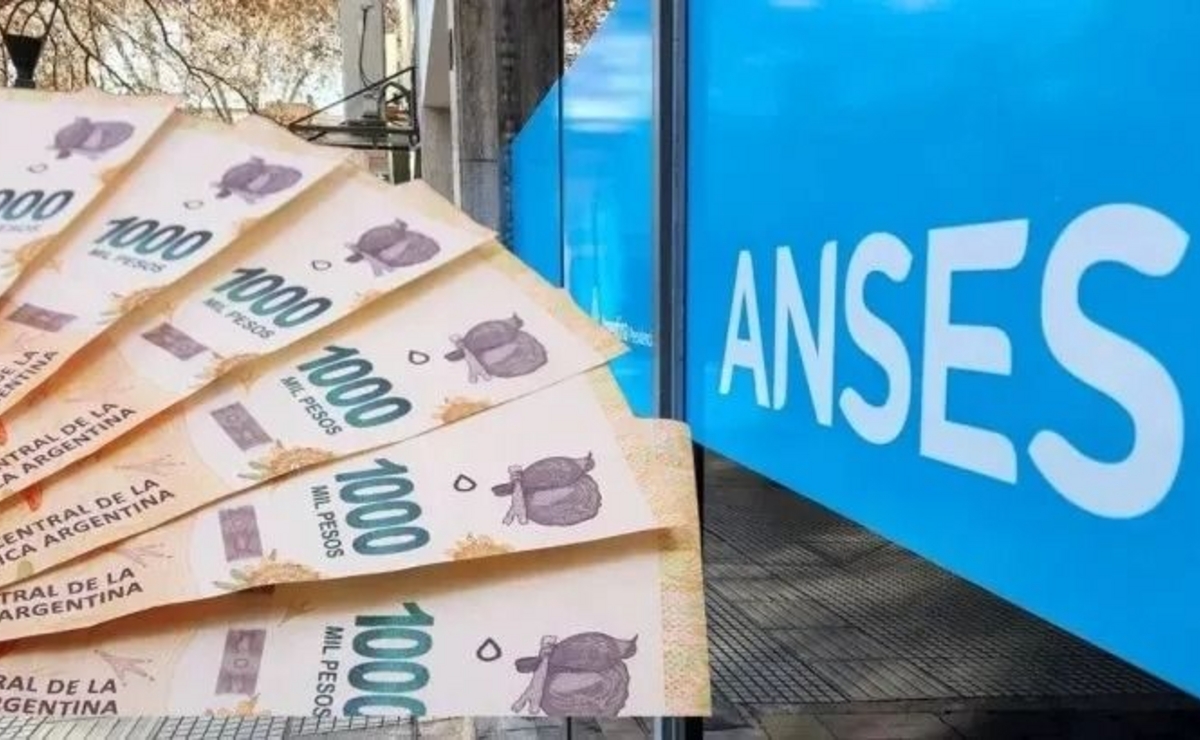 ANSES: quiénes cobran Pago Único, PNC y Desempleo este jueves