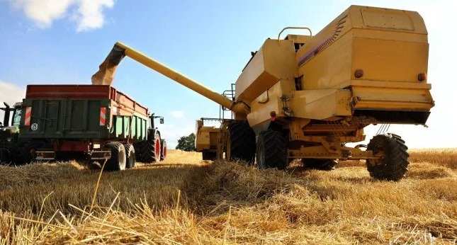 Histórico: Argentina realizó su primera exportación de trigo al mercado chino