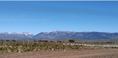 Consejo de Mayo: Gobierno impulsa cambios en Ley de Tierras y Manejo del Fuego