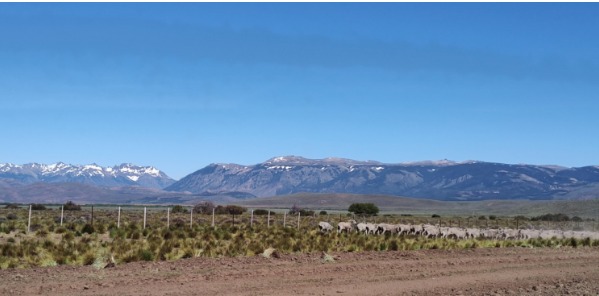 Consejo de Mayo: Gobierno impulsa cambios en Ley de Tierras y Manejo del Fuego