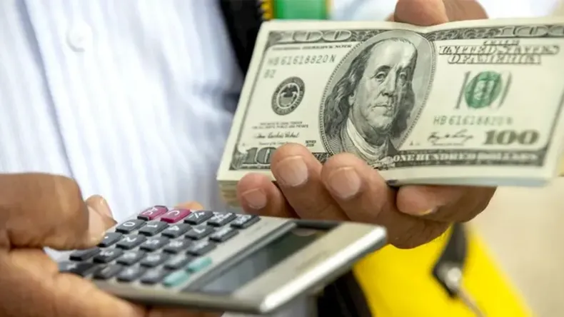 Cotización del dólar en Argentina: oficial, blue y financieros al 2 de diciembre