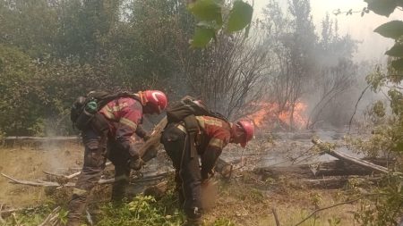Chubut: el incendio en la zona de El Turbio fue contenido tras días de operativo
