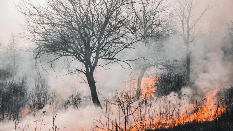 El SMN advierte riesgo extremo de incendios forestales en medio de ola de calor