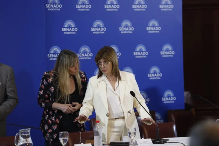Avanza la reforma laboral en el Senado: Bullrich pisa el acelerador en busca del dictamen