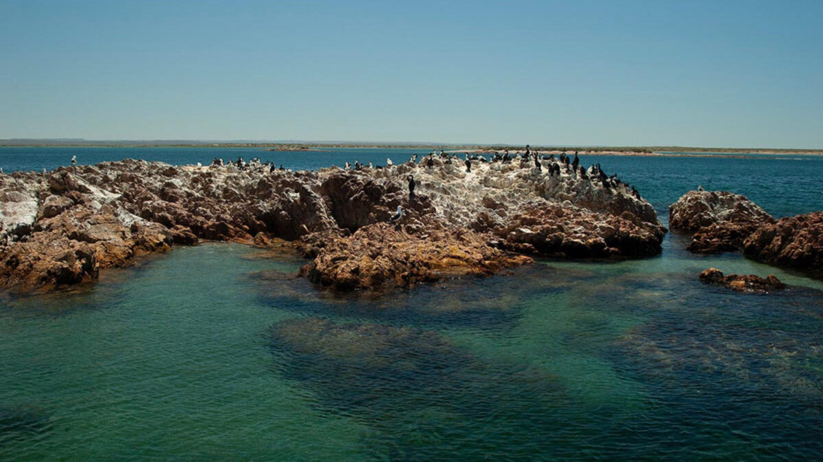 Proyecto Mares avanza en Chubut para fortalecer las áreas costero-marinas protegidas