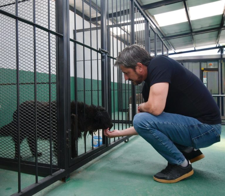 El Municipio Trelew renovó el área de Zoonosis con nuevos caniles, patio recreativo y mejoras sanitarias