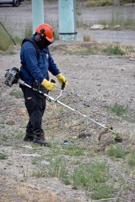 Trelew refuerza el desmalezamiento en la Av. Eva Perón para mayor seguridad vial