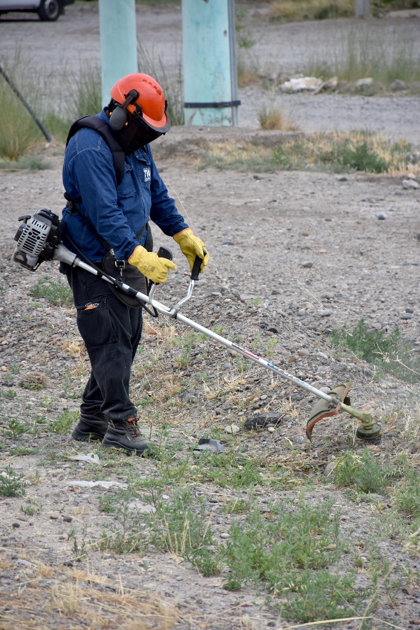 Trelew refuerza el desmalezamiento en la Av. Eva Perón para mayor seguridad vial