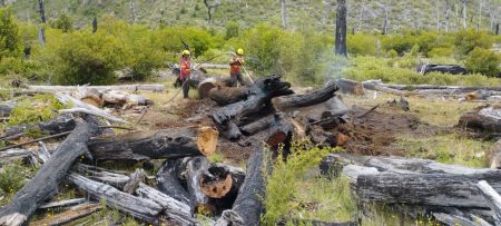 Tras un intenso operativo coordinado por el Gobierno del Chubut, se lograron contener algunos sectores del incendio forestal activo en la zona de El Turbio