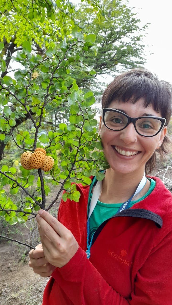 Investigación científica de una becaria del Chubut revela nuevas especies de hongos endémicos de la Patagonia