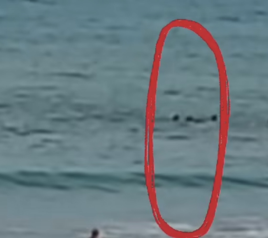 Guardavidas rescataron a una joven en Playa Unión