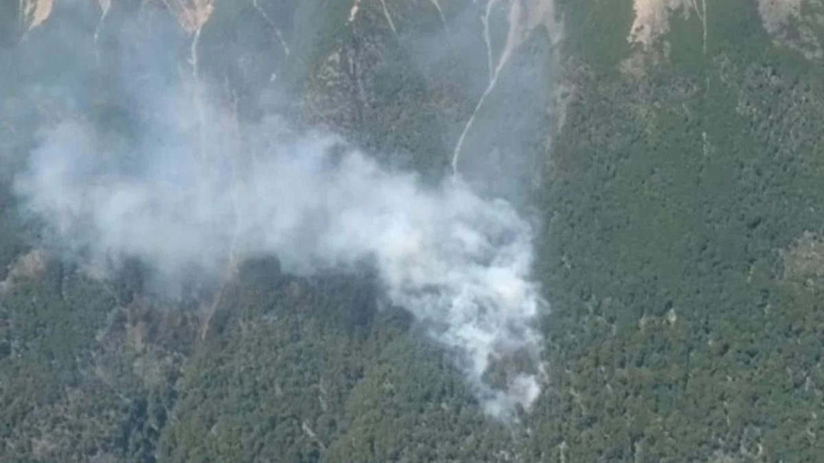 Incendio en Los Alerces: 230 hectáreas bajo vigilancia activa
