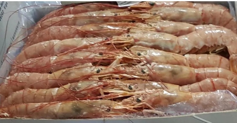 La Secretaría de Pesca y CAPIP firmaron un convenio de donaciones para el programa “Del Mar a la Mesa”