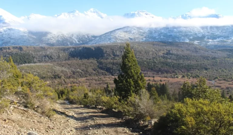 Denuncian a ex-procurador Eduardo Samame y su esposa por avance sobre territorio comunitario