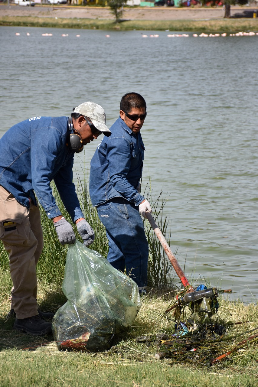 Limpian y renuevan la Reserva Laguna Chiquichano para fortalecer su equilibrio ambiental