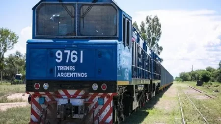 El Gobierno posterga al 2026 la privatización del Belgrano Cargas