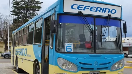 Puerto Madryn avanza hacia la SUBE en el transporte urbano