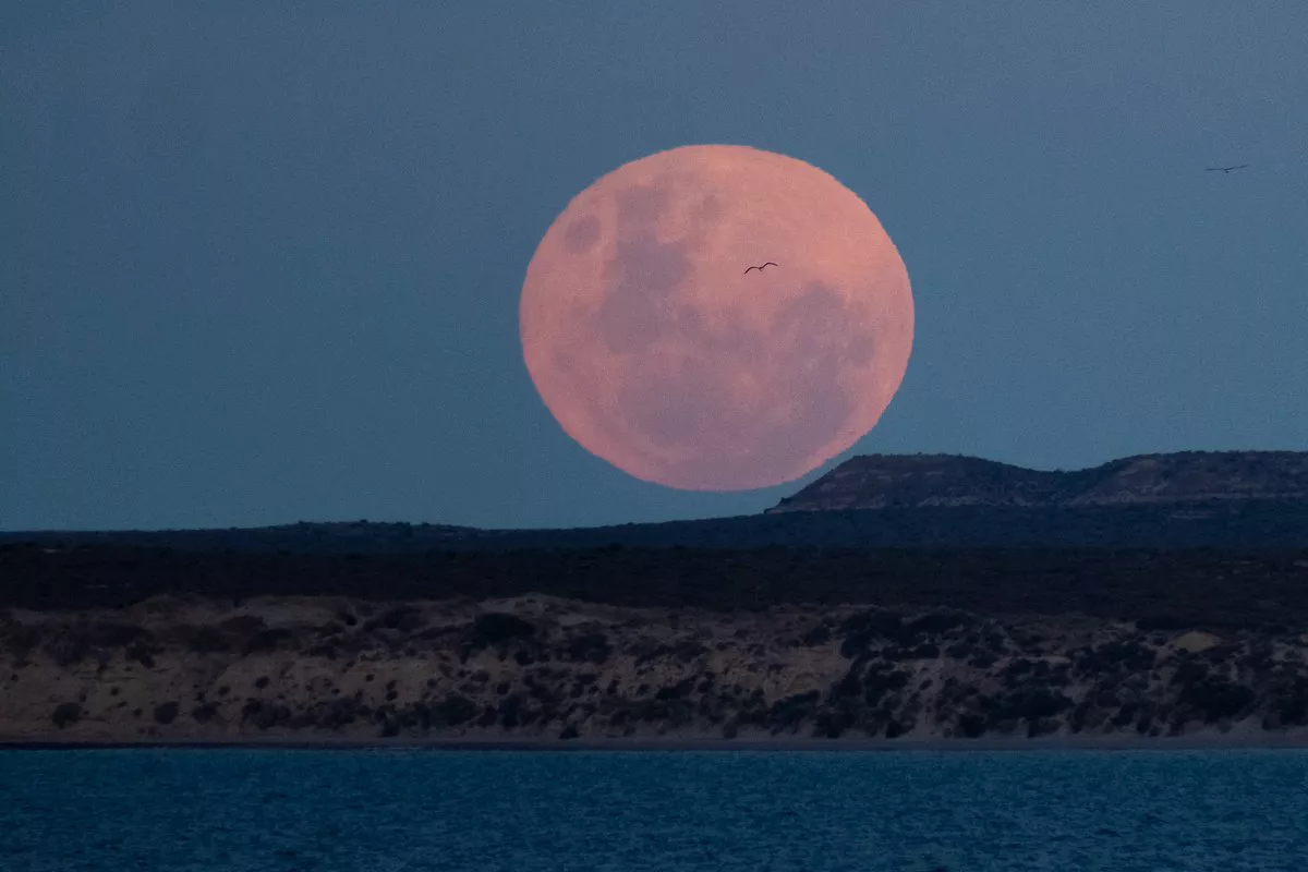 Superluna extrema: mañana se podrá disfrutar este fenómeno, que no volveremos a ver hasta 2042