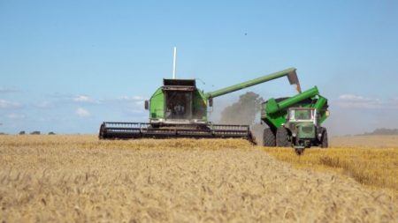 Sale el primer embarque de trigo argentino a China y se inaugura un nuevo flujo comercial