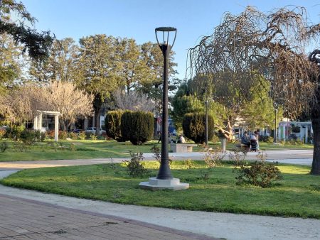 Cronograma ANSES Enero 2026: fechas clave para cobrar jubilaciones y asignaciones