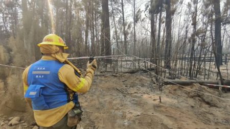 Policía Federal investiga el origen del incendio forestal en Chubut