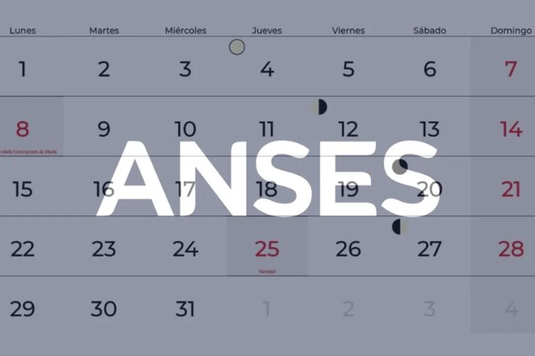 Carreras Universitarias con Más Futuro en 2025: Guía para Elegir tu Profesión