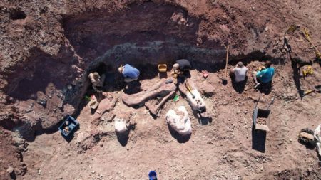 Chubut impulsa una nueva campaña paleontológica clave para su patrimonio científico