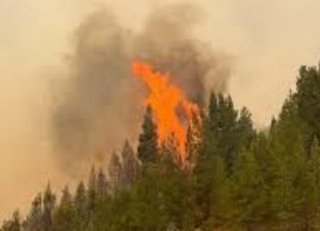 Advierten que un índice clave explica por qué no afloja el fuego en Chubut y qué puede pasar en otras provincias