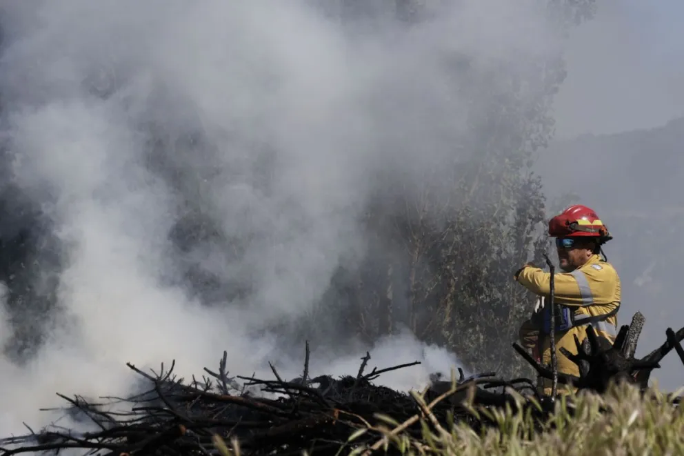 Alerta por altas temperaturas hasta el martes: el índice de peligrosidad de incendios forestales es extremo en Chubut