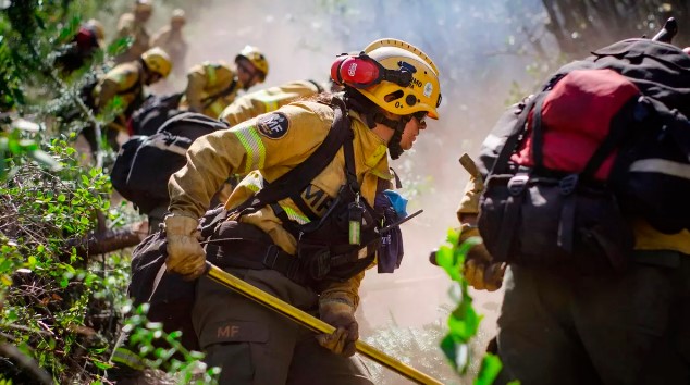 Ambientalistas califican como “ecocidio” en la Patagonia a la falta de fondos para combatir incendios