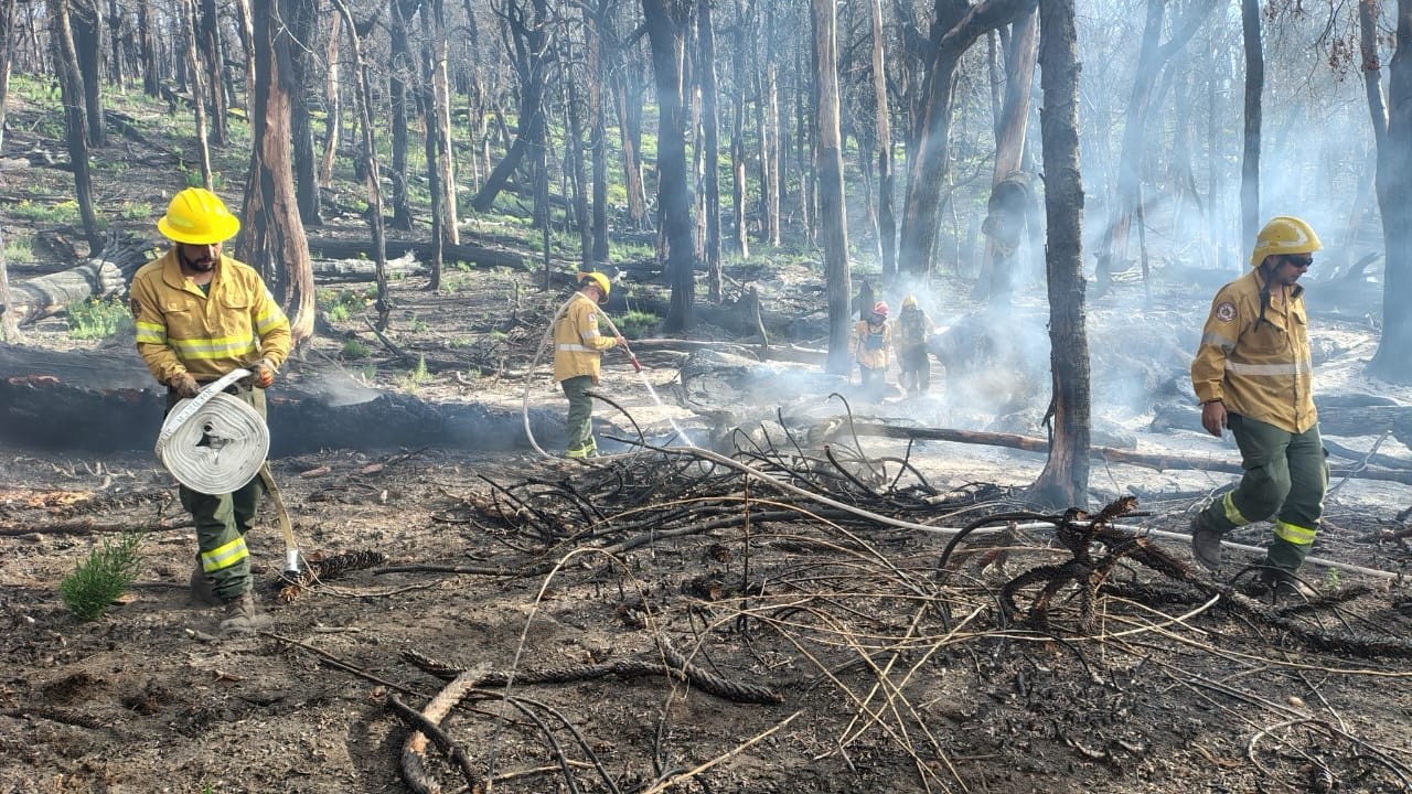 Bomberos de Madryn refuerzan tareas de enfriamiento tras un incendio rural