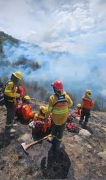 Brigadas autoconvocadas en la primera línea contra los incendios en la Patagonia Argentina