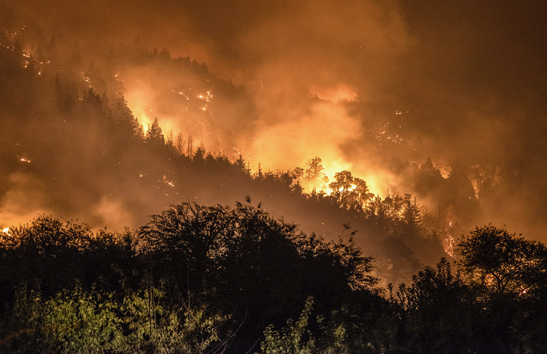 Comarca Andina: una década marcada por incendios más intensos