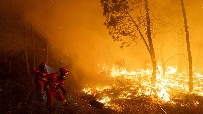Estrategias y desafíos en la lucha contra el incendio en Los Alerces