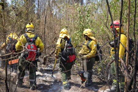 Brigadistas avanzan para cerrar el perímetro del incendio en Los Alerces