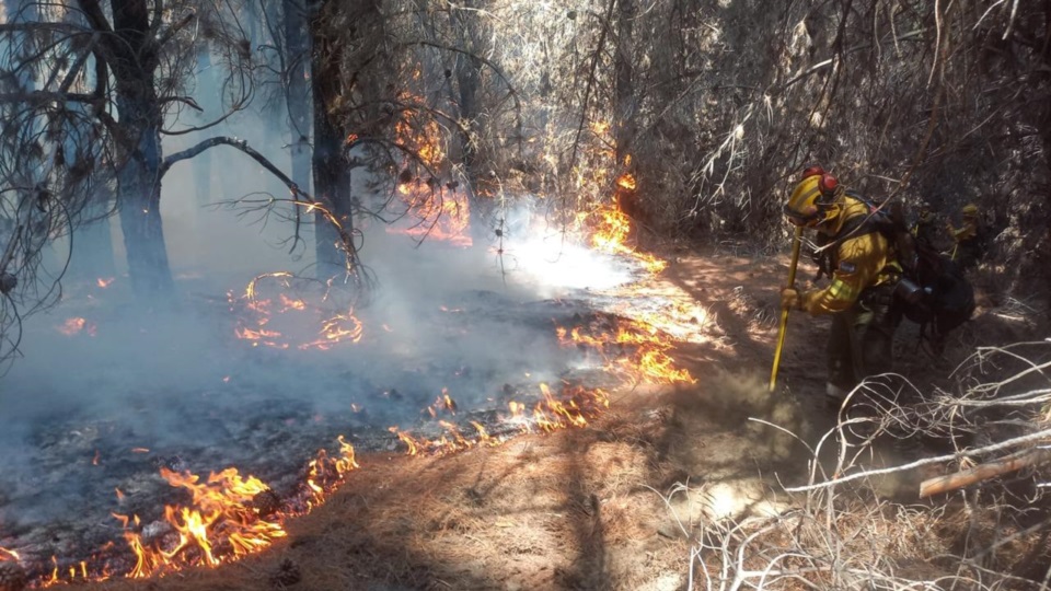 CABA envió brigadistas a Chubut para reforzar la lucha contra incendios