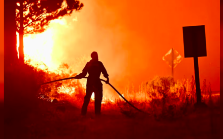 Revelan foto clave del inicio del fuego en Puerto Patriada: La justicia descartó hipótesis accidentales y refuerza la investigación
