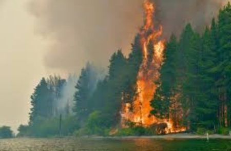 Chubut enfrenta el peor incendio forestal de los últimos 20 años