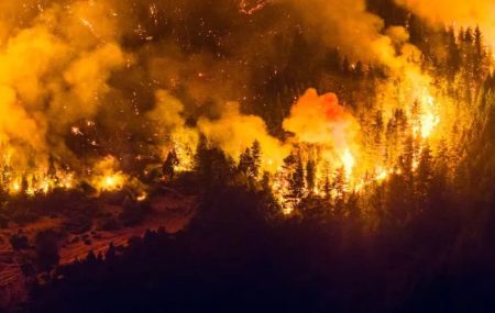 Chubut enfrenta el peor incendio forestal de los últimos 20 años