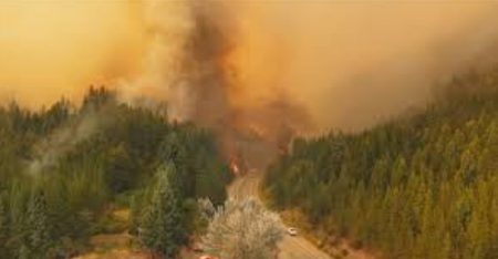 Chubut: hallaron combustible donde se inició el fuego