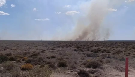 Incendio en la zona sur de Puerto Madryn movilizó a cinco dotaciones de bomberos