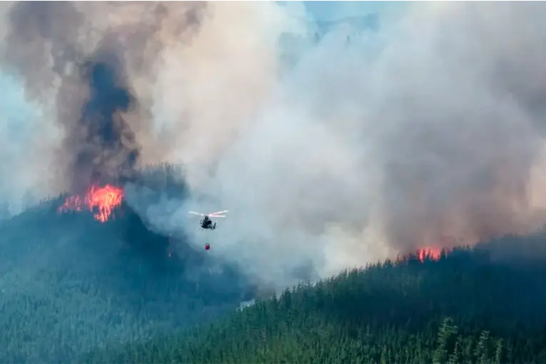 Cuatro brigadistas entrerrianos viajan a Chubut para sumarse al combate de incendios