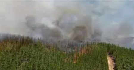 Ecocidio anunciado en Chubut: 21.000 hectáreas arrasadas por el fuego