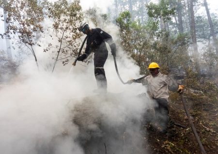 El incendio provocado en Chubut podría castigarse con una pena de 20 años