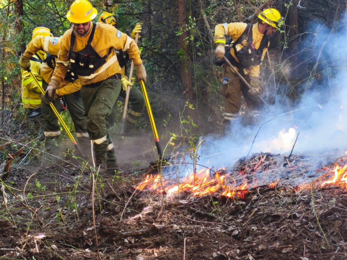 El viento complica el combate del fuego en Los Alerces y frena a brigadistas